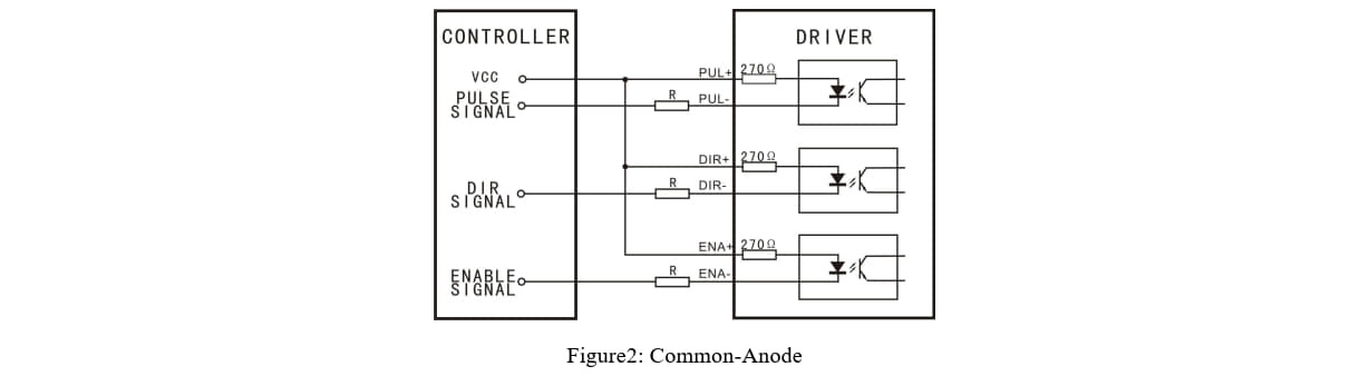 CW542_E_6.jpg